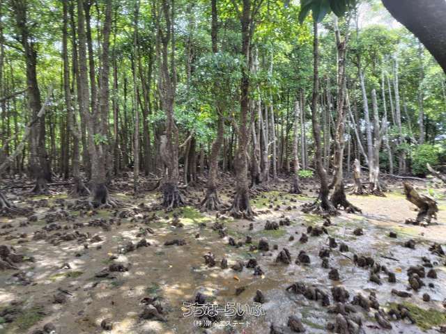 2011㎡ Coastal Land for Sale on Yaegaji Island, Nago, Okinawa - Image 1
