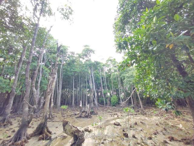 2011㎡ Coastal Land for Sale on Yaegaji Island, Nago, Okinawa - Thumbnail 2