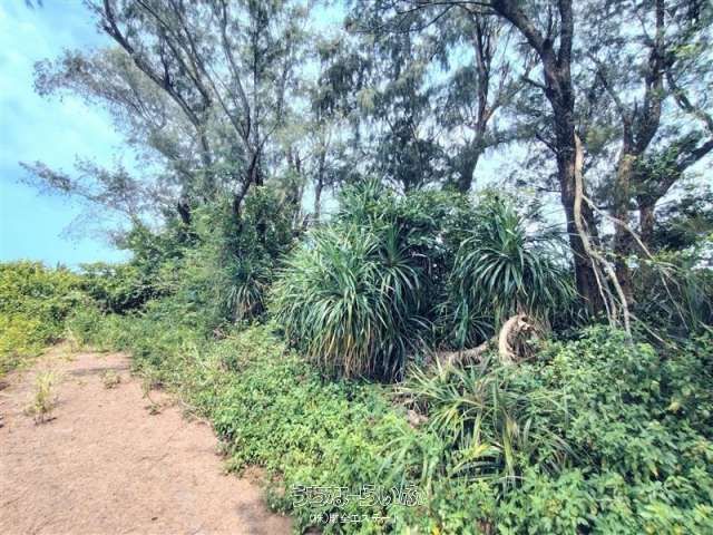 2011㎡ Coastal Land for Sale on Yaegaji Island, Nago, Okinawa - Thumbnail 3