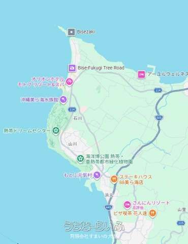 Land for Sale in Motobu, Okinawa - Near Churaumi Aquarium - Thumbnail 3