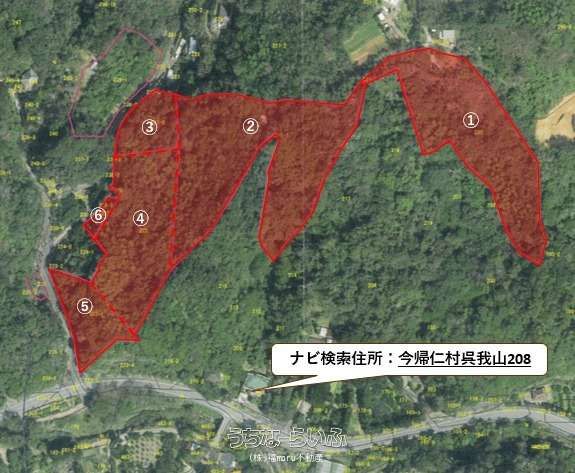 26,244 sqm Forest Land for Sale in Nakijin, Okinawa - Thumbnail 2