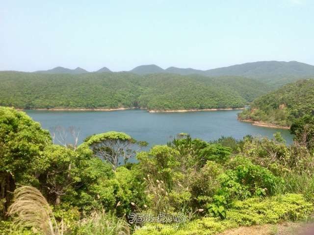 11,964 sqm Agricultural Land with Dam Views in Higashi Village, Okinawa - Thumbnail 3