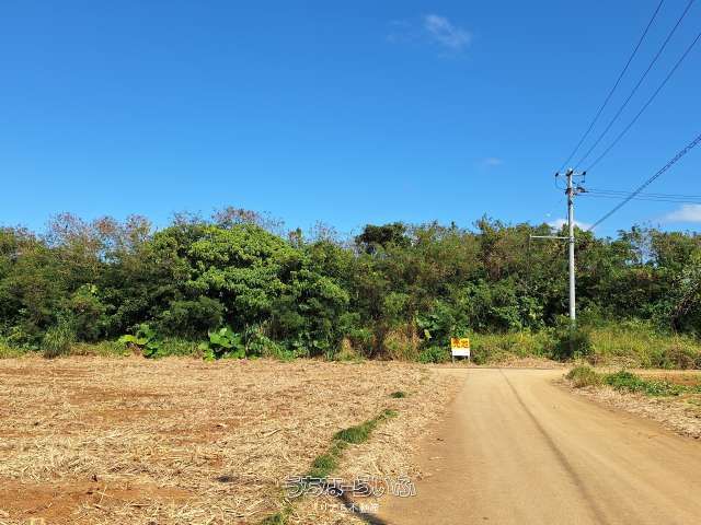 1,827 sqm Land Plot for Sale in Miyakojima, Okinawa - Thumbnail 2