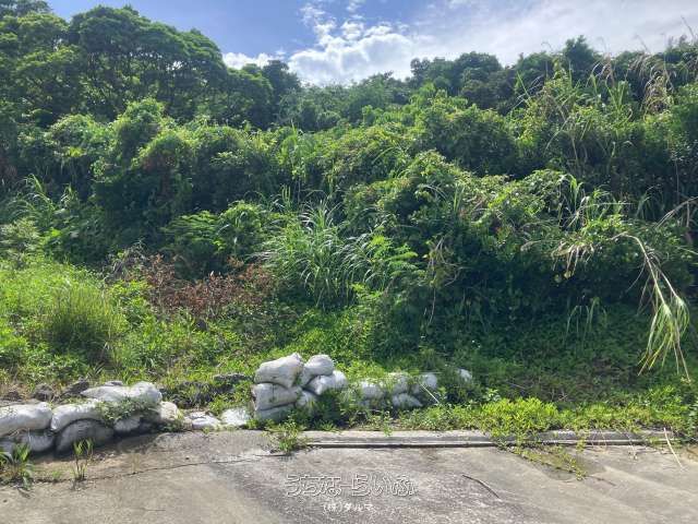 Land for Sale in Nagado, Tomigusuku, Okinawa - 352.57 sqm - Thumbnail 4