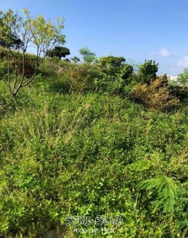 2,011 sqm Land for Sale in Naha City, Okinawa with City Views - Thumbnail 2
