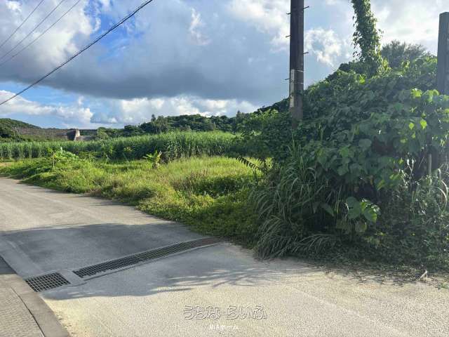 384㎡ Agricultural Land for Sale in Yomitan Village, Okinawa - Thumbnail 3