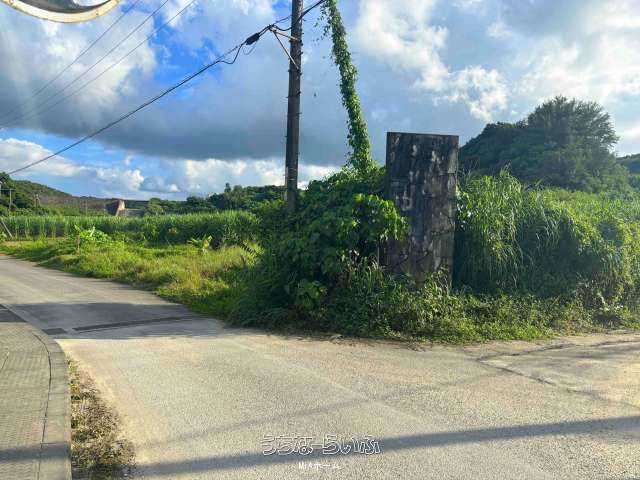 384㎡ Agricultural Land for Sale in Yomitan Village, Okinawa - Thumbnail 2
