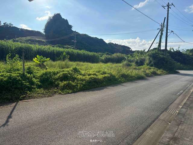 384㎡ Agricultural Land for Sale in Yomitan Village, Okinawa - Image 1