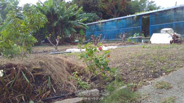 4,158 sqm Land for Sale in Yomitan, Okinawa - Elevated Corner Plot - Thumbnail 2