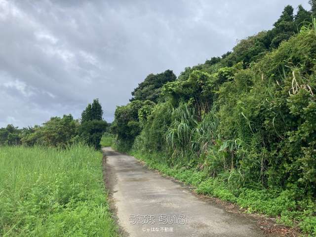 860m² Development Land in Nakijin, Okinawa with Tourism Potential - Thumbnail 2