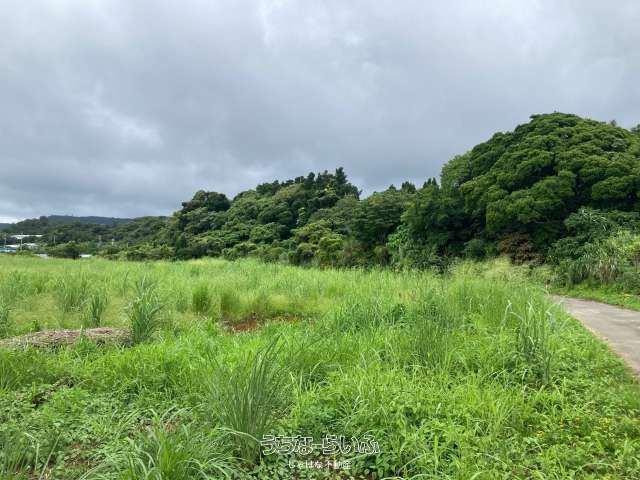 860m² Development Land in Nakijin, Okinawa with Tourism Potential - Image 1