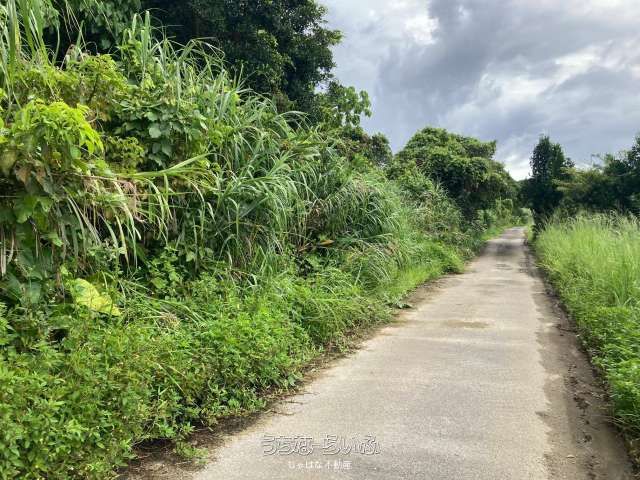 860m² Development Land in Nakijin, Okinawa with Tourism Potential - Thumbnail 3