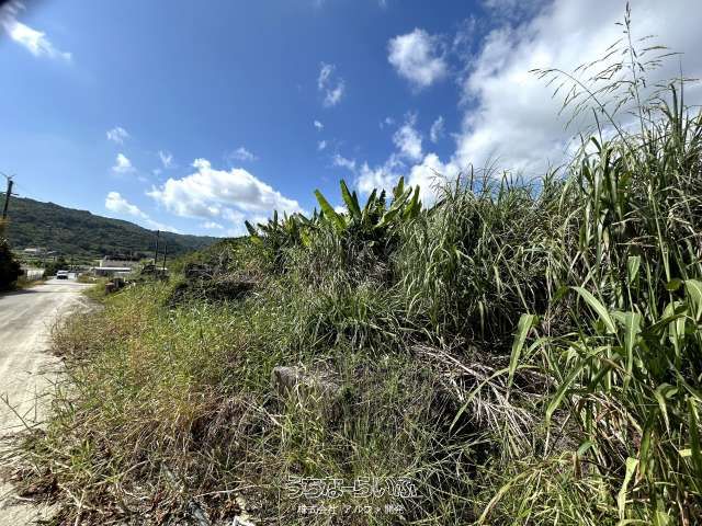 817 sqm Agricultural Land for Sale in Nanjo City, Okinawa - Thumbnail 2