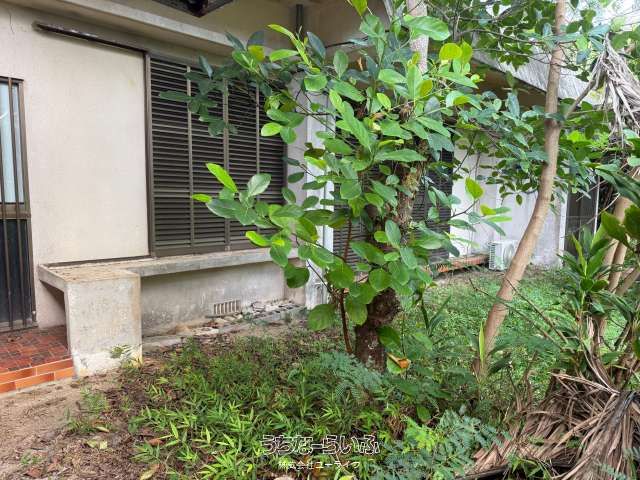 Large RC House for Renovation Near Shigira Resort, Miyakojima - Thumbnail 2