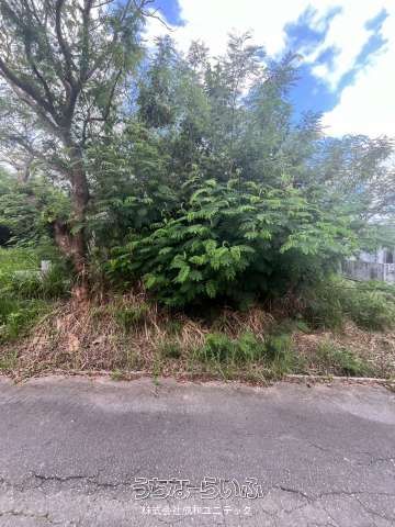 172m² Land Plot for Sale in Maehara, Uruma City, Okinawa - Thumbnail 2