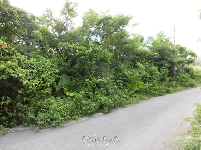 1691 sqm Land for Sale in Kise, Nago City, Okinawa - Thumbnail 3