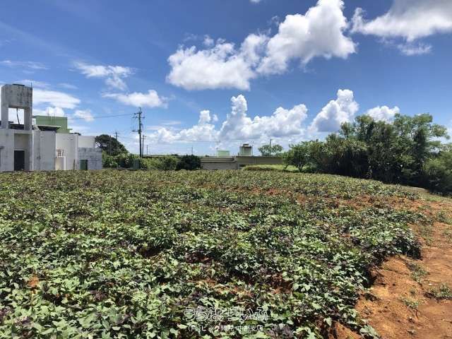 311 Tsubo Land for Sale in Zakimi, Yomitan Village, Okinawa - Thumbnail 4