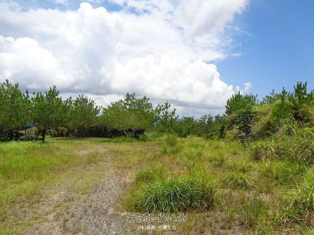 18,091 sqm Forest Land for Sale in Ogimi Village, Okinawa - Thumbnail 4