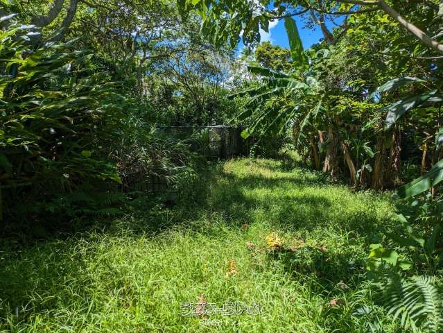 9675 sqm Farmland for Sale in Genga, Nago, Okinawa - Thumbnail 4