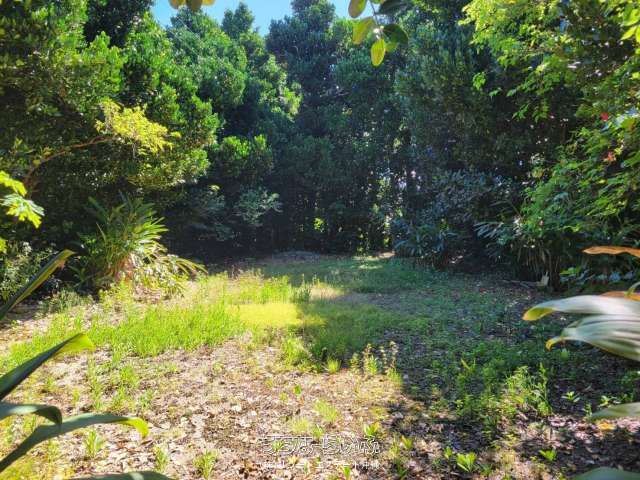 Land for Sale in Bise, Motobu - Near Churaumi Aquarium - Thumbnail 3
