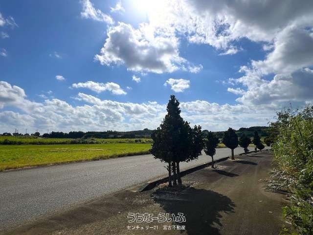 5419㎡ Land for Sale in Miyakojima with Beach and Farm Views - Thumbnail 3