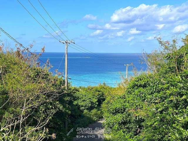 5419㎡ Land for Sale in Miyakojima with Beach and Farm Views - Thumbnail 2
