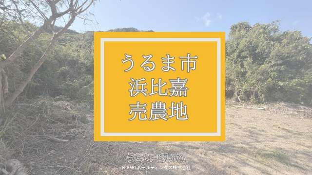 432m² Agricultural Land for Sale on Hamahiga Island, Okinawa - Thumbnail 2