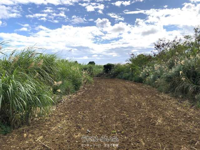 Farmland for Sale in Nishinakasone, Miyakojima City, Okinawa - Thumbnail 2