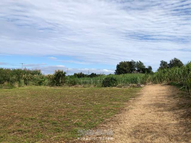 Farmland for Sale in Nishinakasone, Miyakojima City, Okinawa - Thumbnail 3