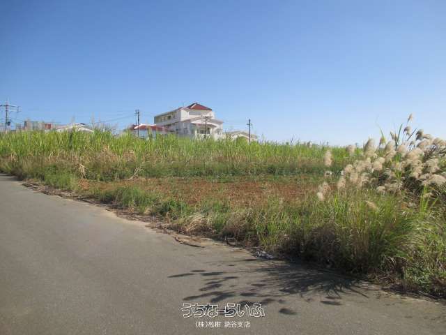 1722 sqm Farmland for Sale in Yomitan Village, Okinawa - Thumbnail 3