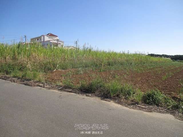 1722 sqm Farmland for Sale in Yomitan Village, Okinawa - Thumbnail 2