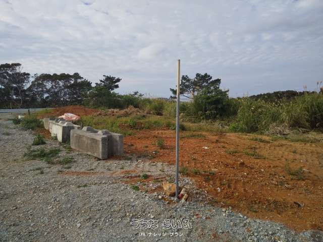 3041 sqm Land for Sale in Nago, Okinawa - Agricultural Area - Thumbnail 2