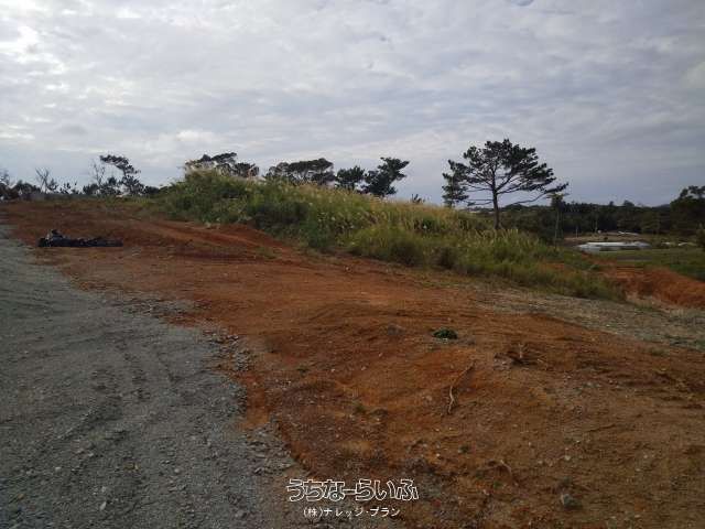 3041 sqm Land for Sale in Nago, Okinawa - Agricultural Area - Thumbnail 3