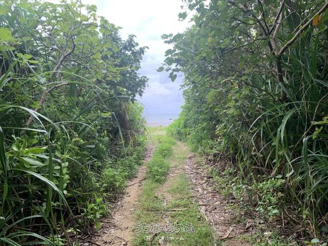 408sqm Development Land for Sale in Ishigaki City, Okinawa - Thumbnail 3