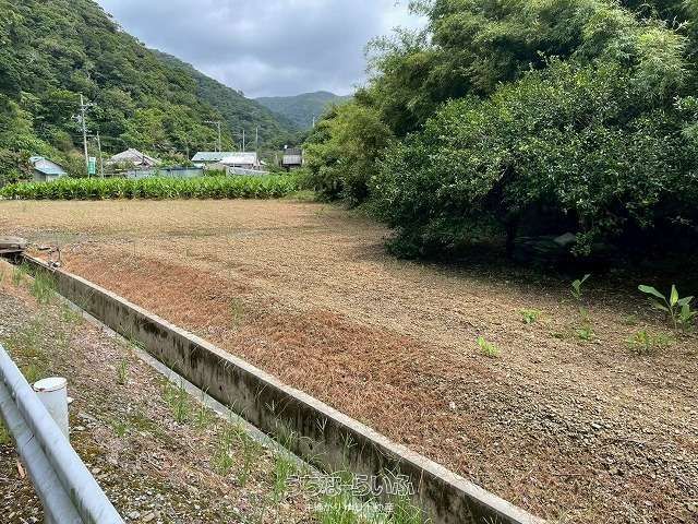 Land for Sale in Nago, Okinawa with Antenna Income - Thumbnail 4