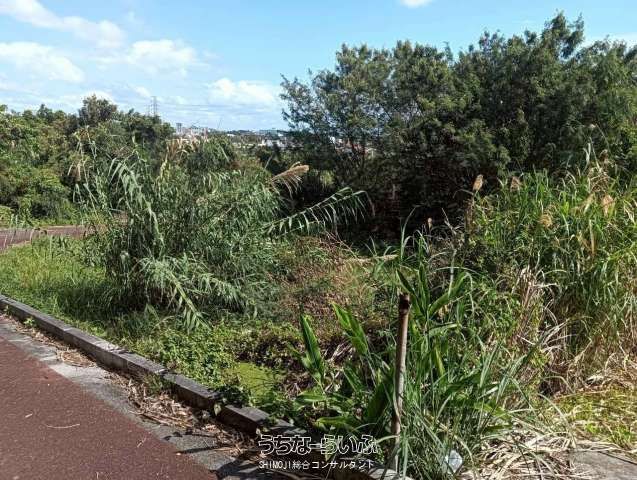 388 sqm Agricultural Land for Sale in Kitakagusuku Village, Okinawa - Thumbnail 4