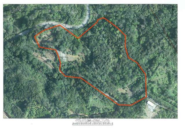 25,661m² Agricultural Land for Sale in Ogimi Village, Okinawa - Thumbnail 4