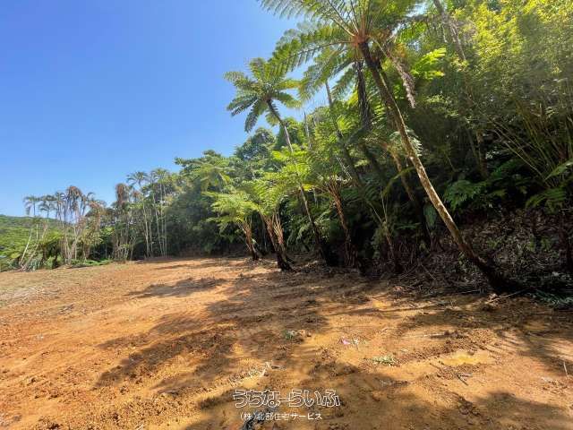 11,060 sqm Agricultural Land for Sale in Nago City, Okinawa - Thumbnail 2