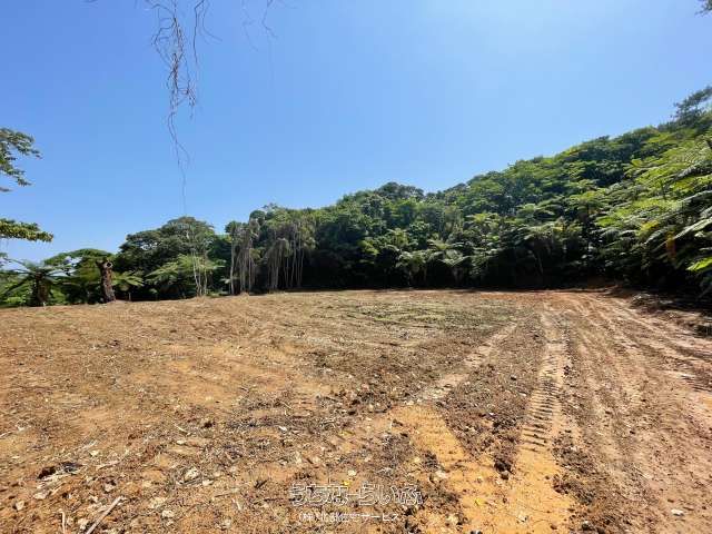 11,060 sqm Agricultural Land for Sale in Nago City, Okinawa - Thumbnail 4