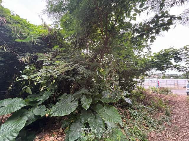 1274m² Land for Sale in Itoman, Okinawa - Near Daido Beach - Thumbnail 2