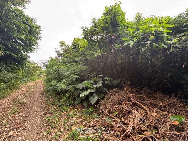 1274m² Land for Sale in Itoman, Okinawa - Near Daido Beach - Thumbnail 3