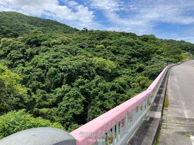 57,271 sqm Sloping Land for Sale in Motobu, Okinawa - Image 1