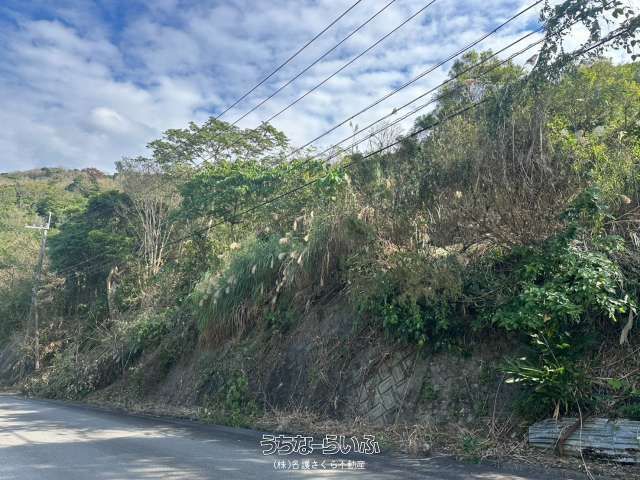 1668 sqm Land for Sale in Kawakami, Nago City, Okinawa - Thumbnail 4