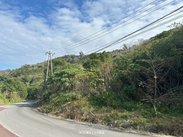 1668 sqm Land for Sale in Kawakami, Nago City, Okinawa - Thumbnail 3