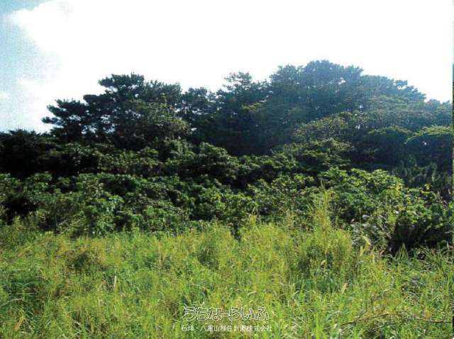 9,945 sqm Forest Land for Sale in Hirakubo, Ishigaki Island - Thumbnail 2