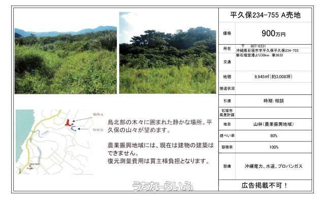 9,945 sqm Forest Land for Sale in Hirakubo, Ishigaki Island - Thumbnail 3