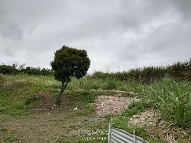 2831㎡ Development Land for Sale in Nanjo City, Okinawa - Thumbnail 2