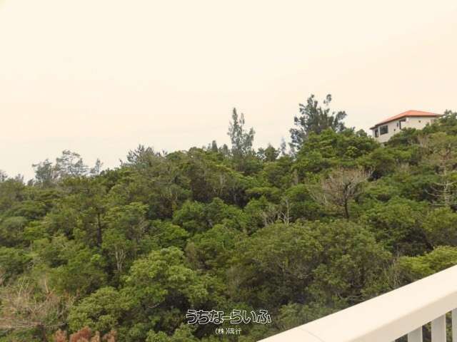 Sloping Land for Sale in Onna Village, Okinawa - 3457 sqm - Thumbnail 3