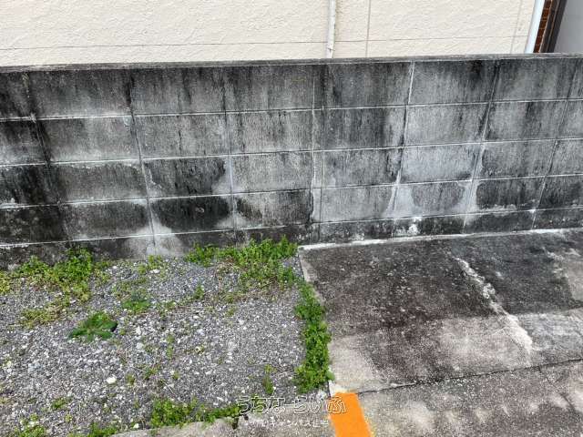 330.98 sqm Land for Sale in Konaha, Nishihara Town, Okinawa - Thumbnail 4