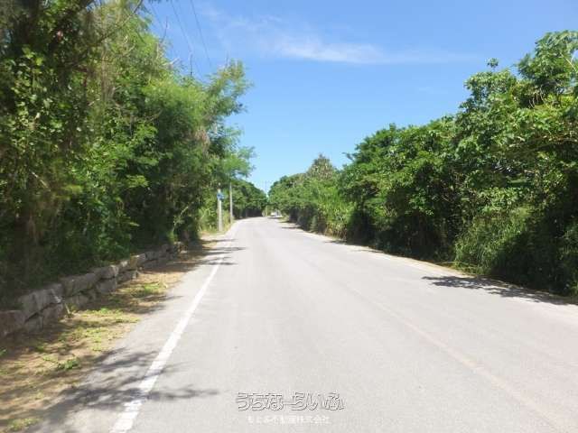 Sea-View Commercial Land for Sale in Motobu, Okinawa - 2226m² - Thumbnail 4